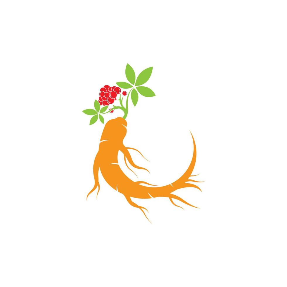 logotipo de design de ilustração vetorial de ícone de ginseng vetor