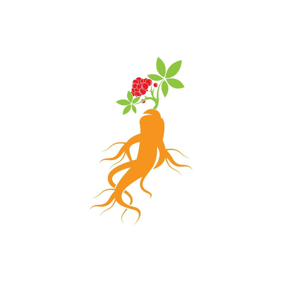 logotipo de design de ilustração vetorial de ícone de ginseng vetor