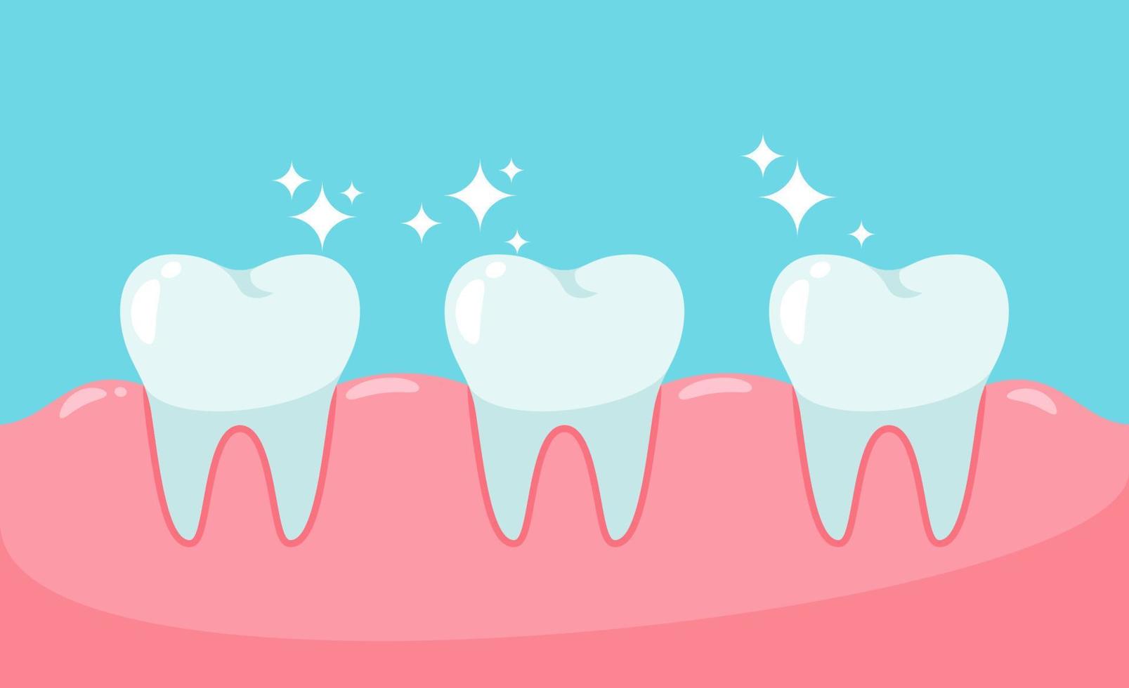 dentes e gengivas saudáveis. conceito de saúde bucal. vetor