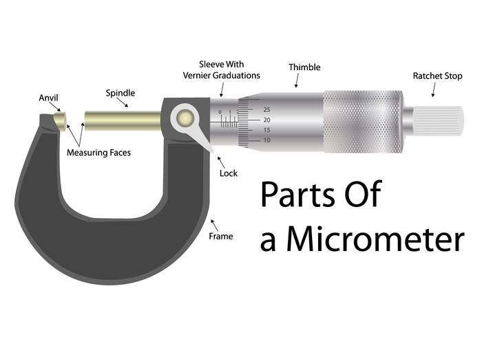 Micrómetro Realista vetor
