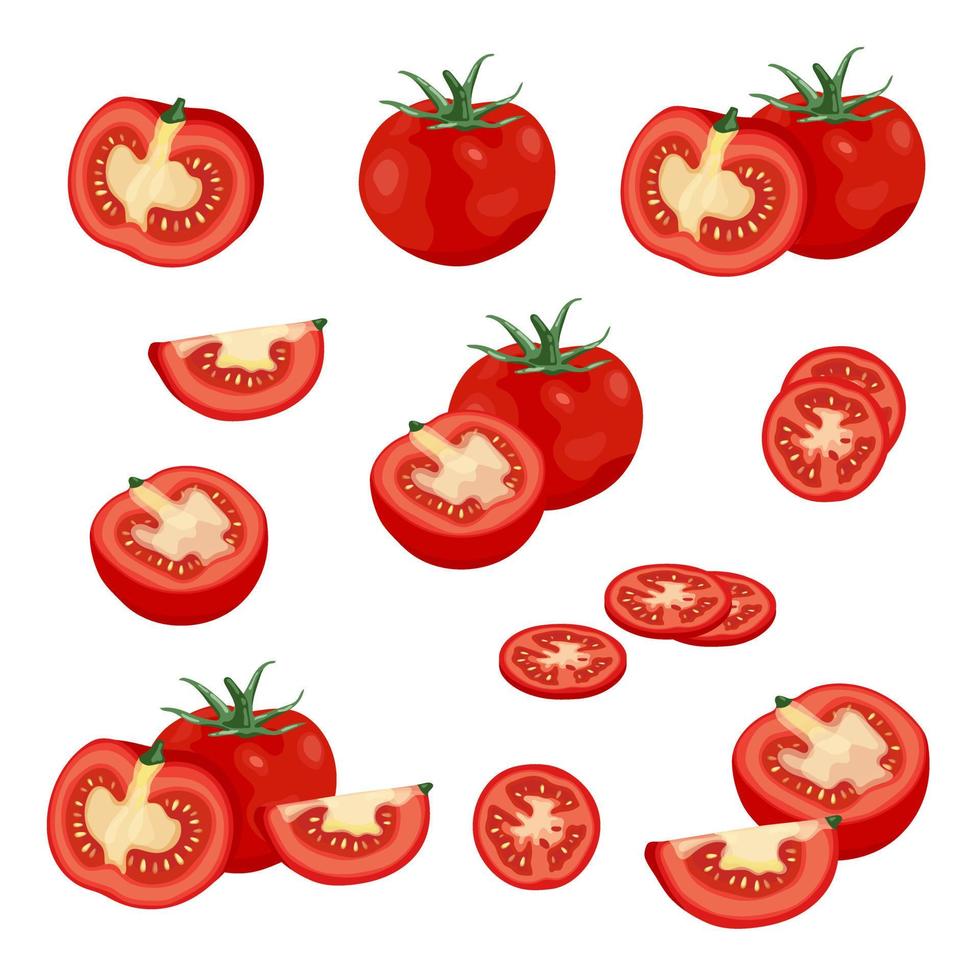 elemento de ilustração de tomate vetor