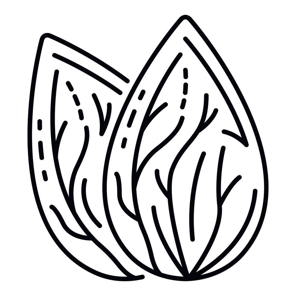 ícone de noz de amêndoa fresca, estilo de estrutura de tópicos vetor