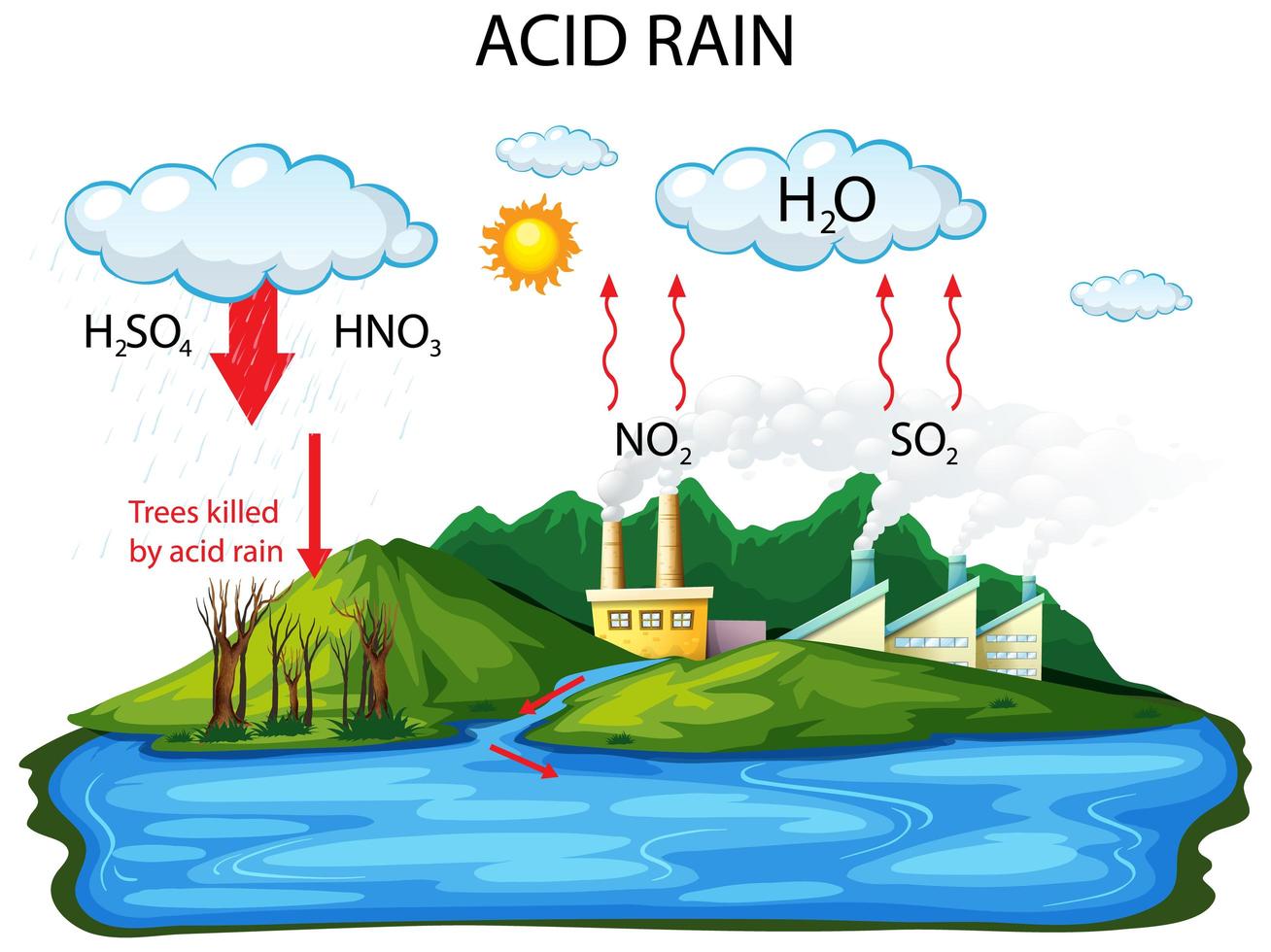 diagrama mostrando o caminho da chuva ácida no fundo branco vetor