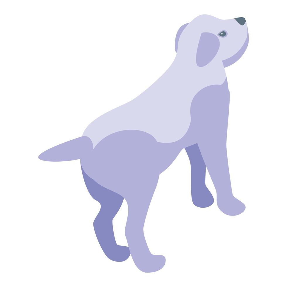 lave o vetor isométrico do ícone do cachorro branco. spa para cães