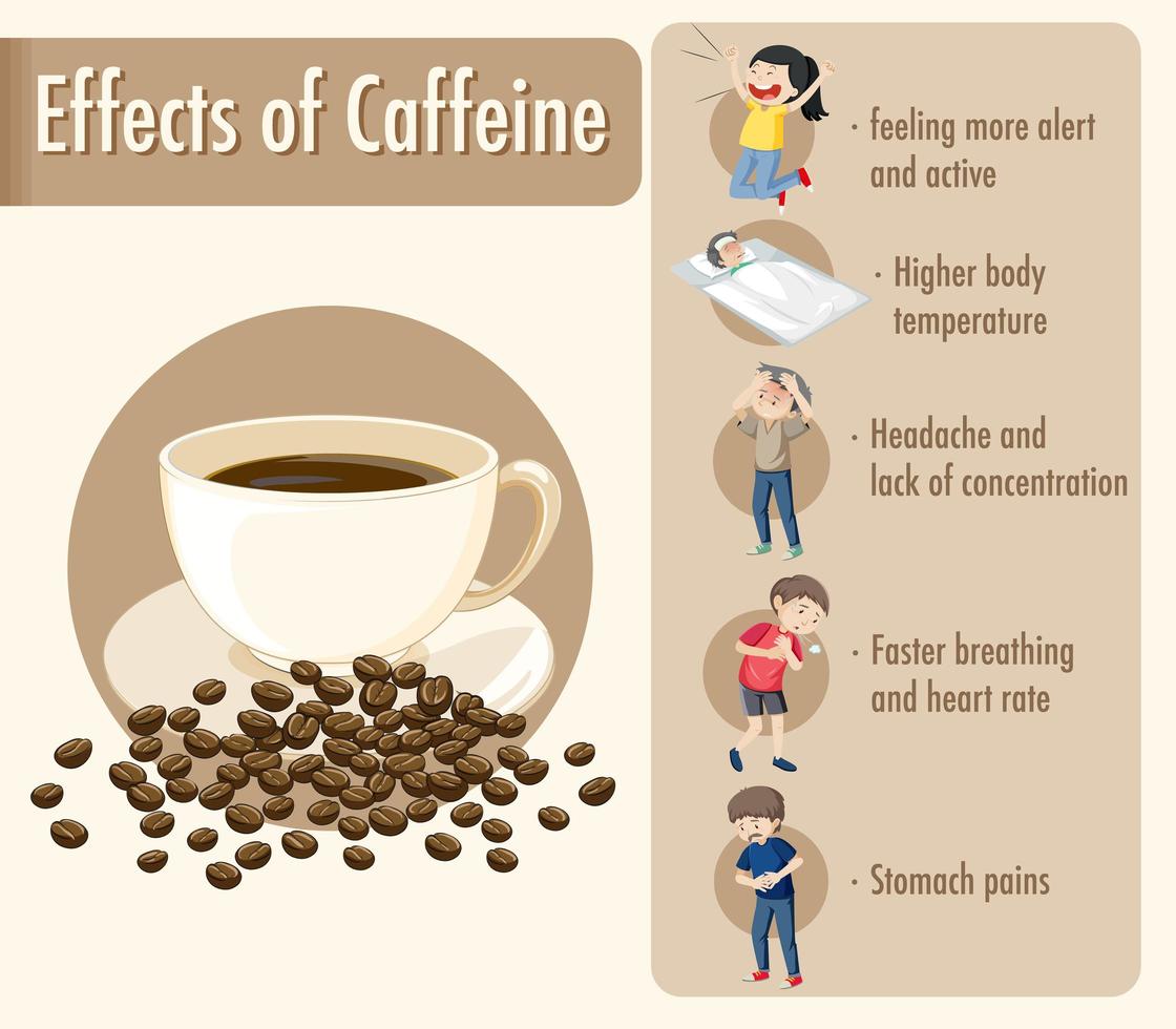 efeitos do infográfico de informações sobre cafeína vetor