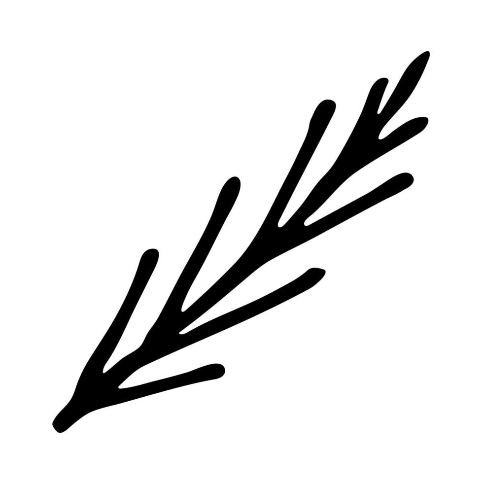 clipart de ramo de abeto desenhado à mão. galho de árvore conífera doodle. elemento de design de natal e inverno vetor