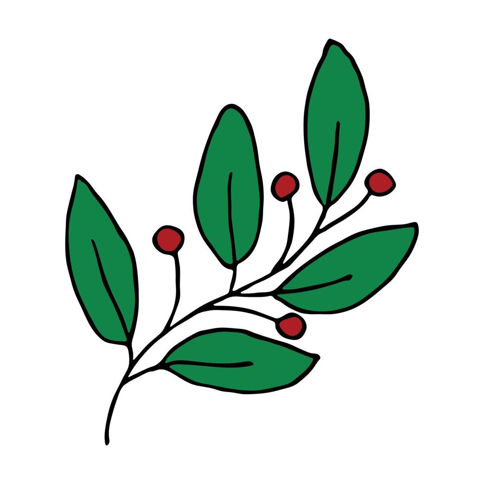ramo desenhado à mão com bagas e folhas. rabisco de natal. clipart de inverno. elemento de design único vetor