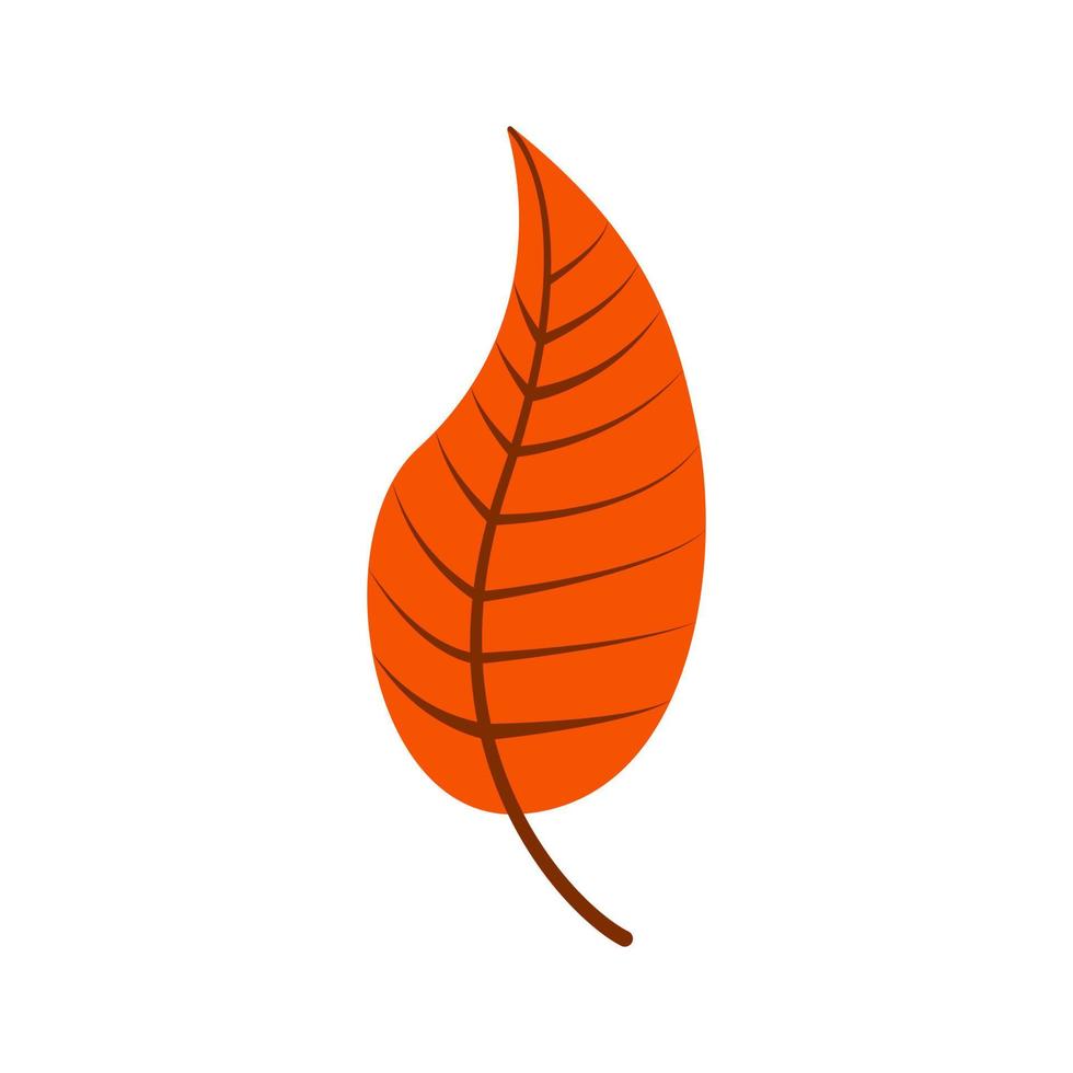 licença de outono ilustração vetorial simples de cor laranja vetor
