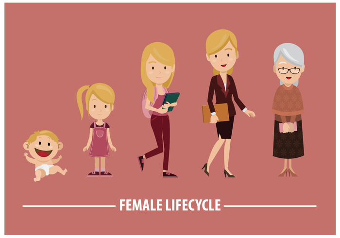 Vector Lifecycle Feminino Livre