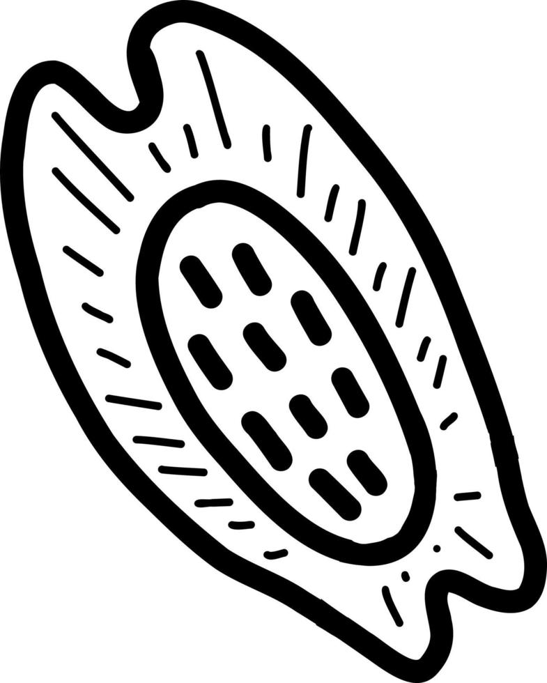 Concha do mar. ilustração vetorial no estilo doodle vetor
