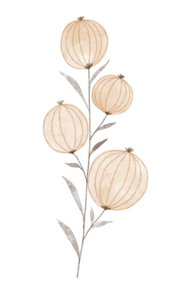 planta na moda aquarela. ilustração vetorial para web, aplicativo e impressão. flores de groselha isoladas florísticas de forma feminina elegante. jardim, botânico, elemento floral minimalista. vetor