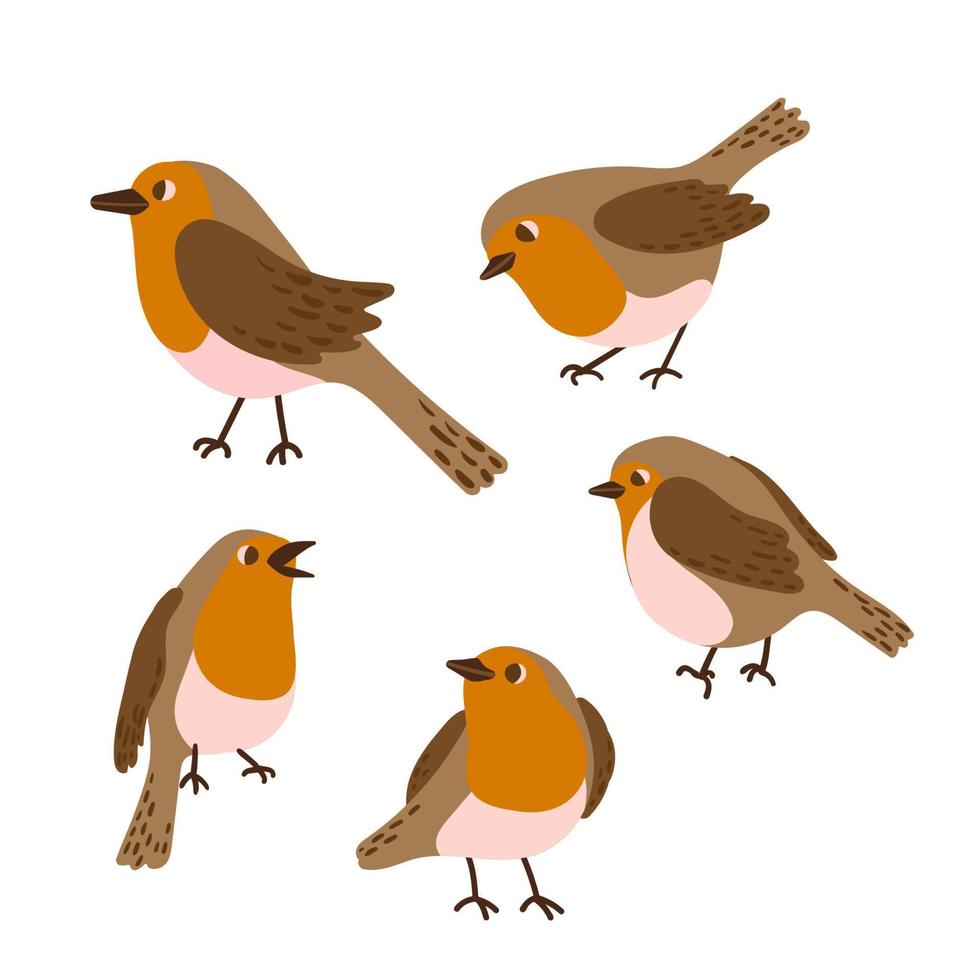 conjunto de ícones de pássaro robin dos desenhos animados. pássaro bonito do inverno na coleção de poses diferentes. ilustração vetorial para estampas, roupas, embalagens, adesivos vetor