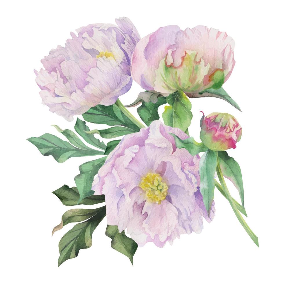 arranjo de buquê em aquarela com delicadas flores de peônia rosa desenhadas à mão, brotos e folhas. isolado no fundo branco. para convites, casamento, amor ou cartões, papel, impressão, têxtil vetor