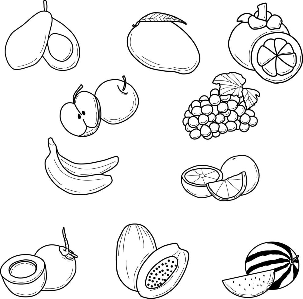 doodle desenhado à mão de frutas vetor