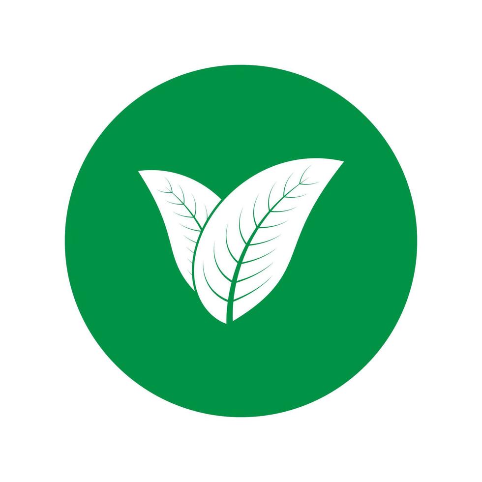 logotipo da natureza da folha vetor