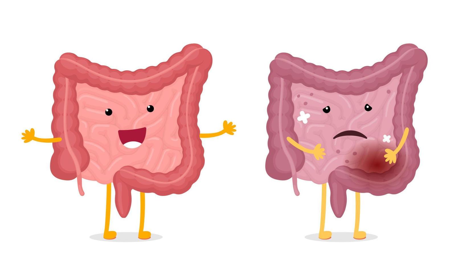 caracteres de intestinos comparação saudável e insalubre. mascote do intestino humano bom e mau estado. intestino dos desenhos animados sorrindo e doença triste. intestino forte e danificado. órgão interno digestivo. vetor