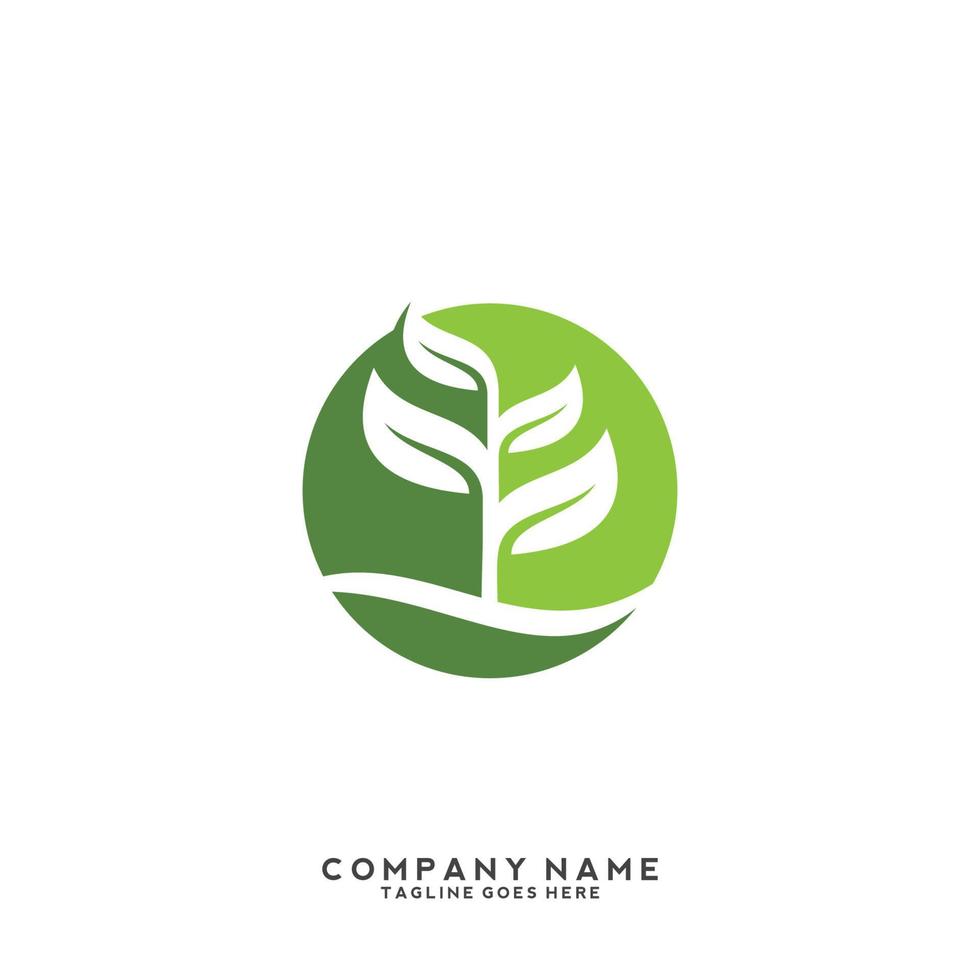 logotipo de folhas verdes. planta natureza eco jardim estilizado ícone vetor botânico.