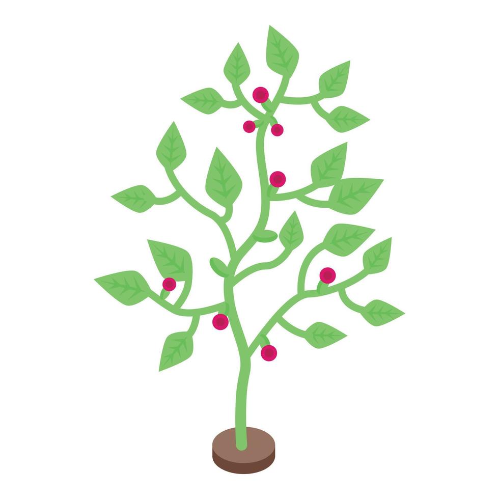 ícone de planta de soja verde, estilo isométrico vetor