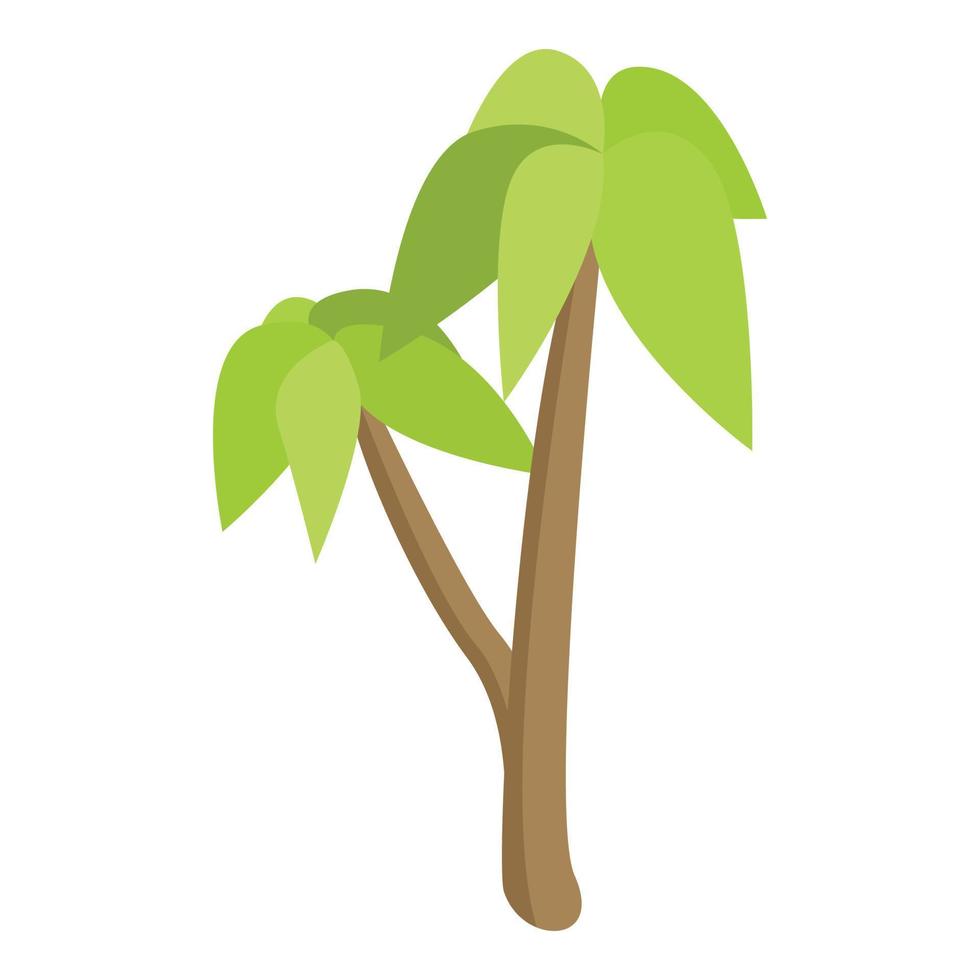 ícone de palmeira, estilo isométrico vetor