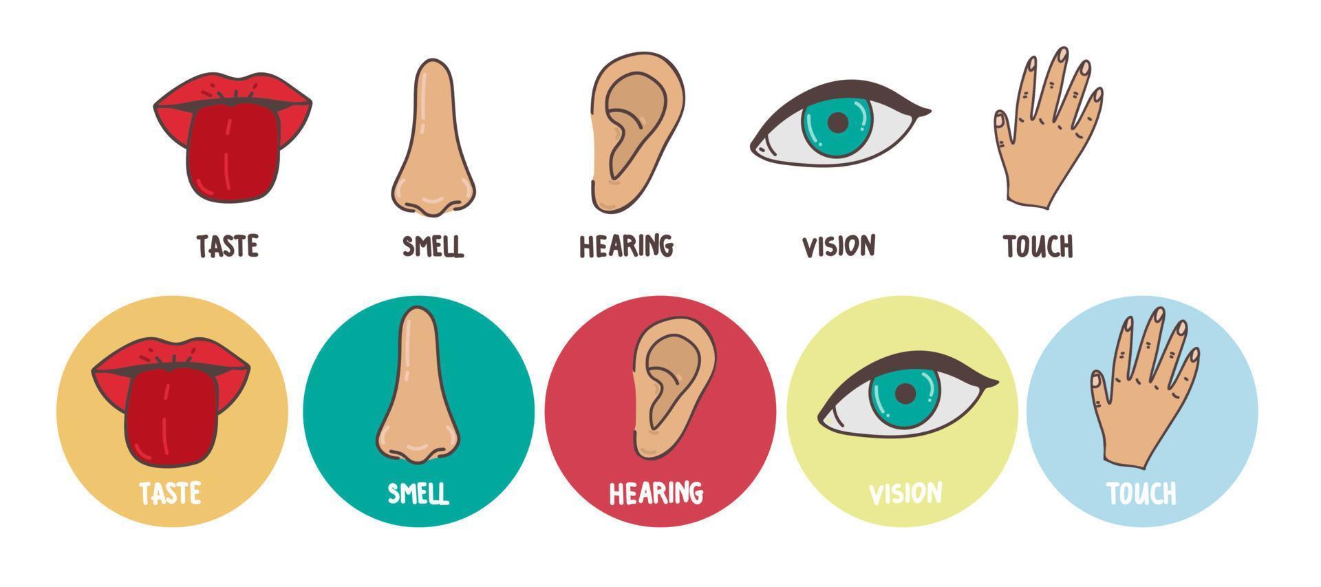 conjunto de ícones de linha de cinco sentidos humanos. visão, cheiro, audição, toque, ícones de gosto. órgãos sensoriais humanos. olho, nariz, orelha, mão, conjunto de ícones de boca. vetor