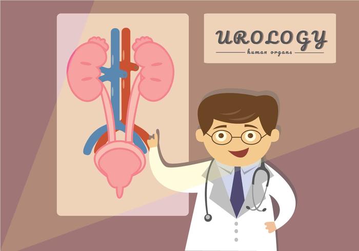 Urologia que apresenta o estilo da ilustração dos desenhos animados vetor