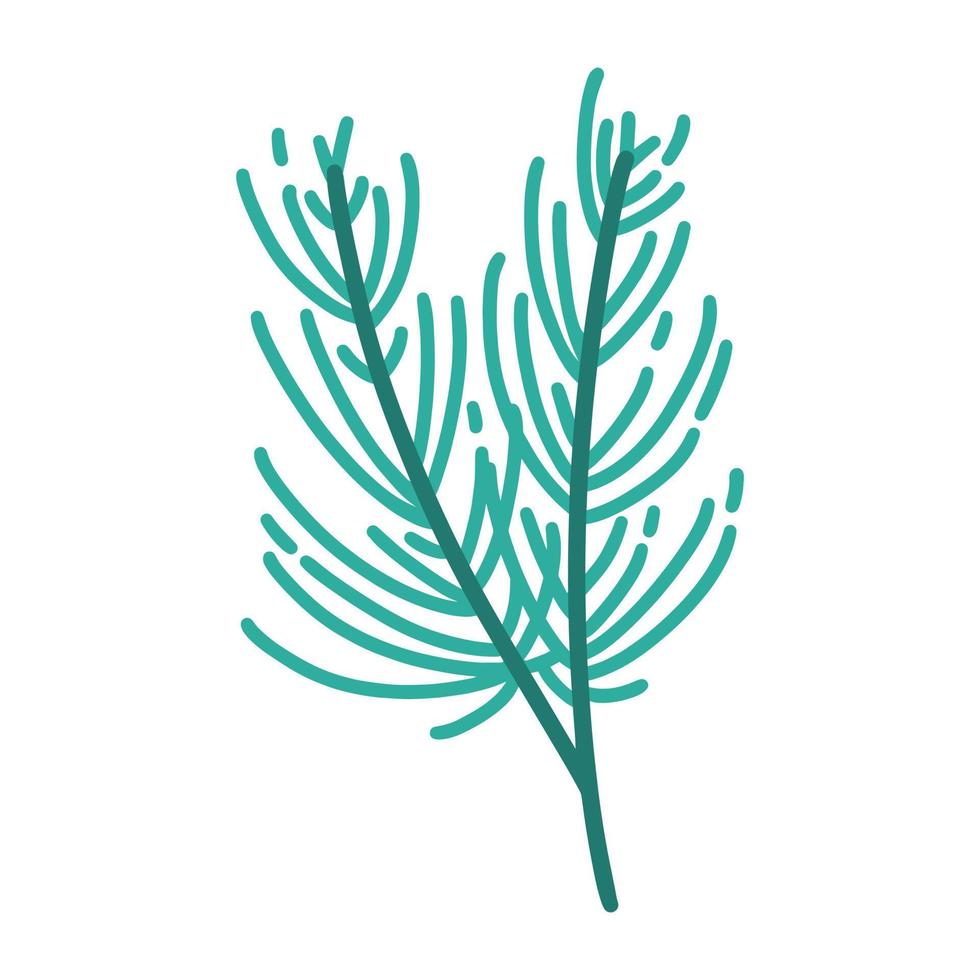 ícone de vetor de galho verde de árvore de Natal. ilustração desenhada à mão isolada no fundo branco. um galho de uma planta conífera com agulhas. rabisco botânico simples. clipart de desenhos animados para cartões, cartazes