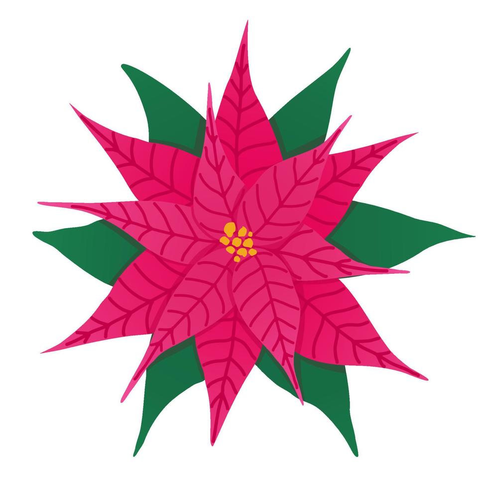 ilustração de flor poinsétia. planta de casa decorativa de natal. símbolo de férias de inverno vetor