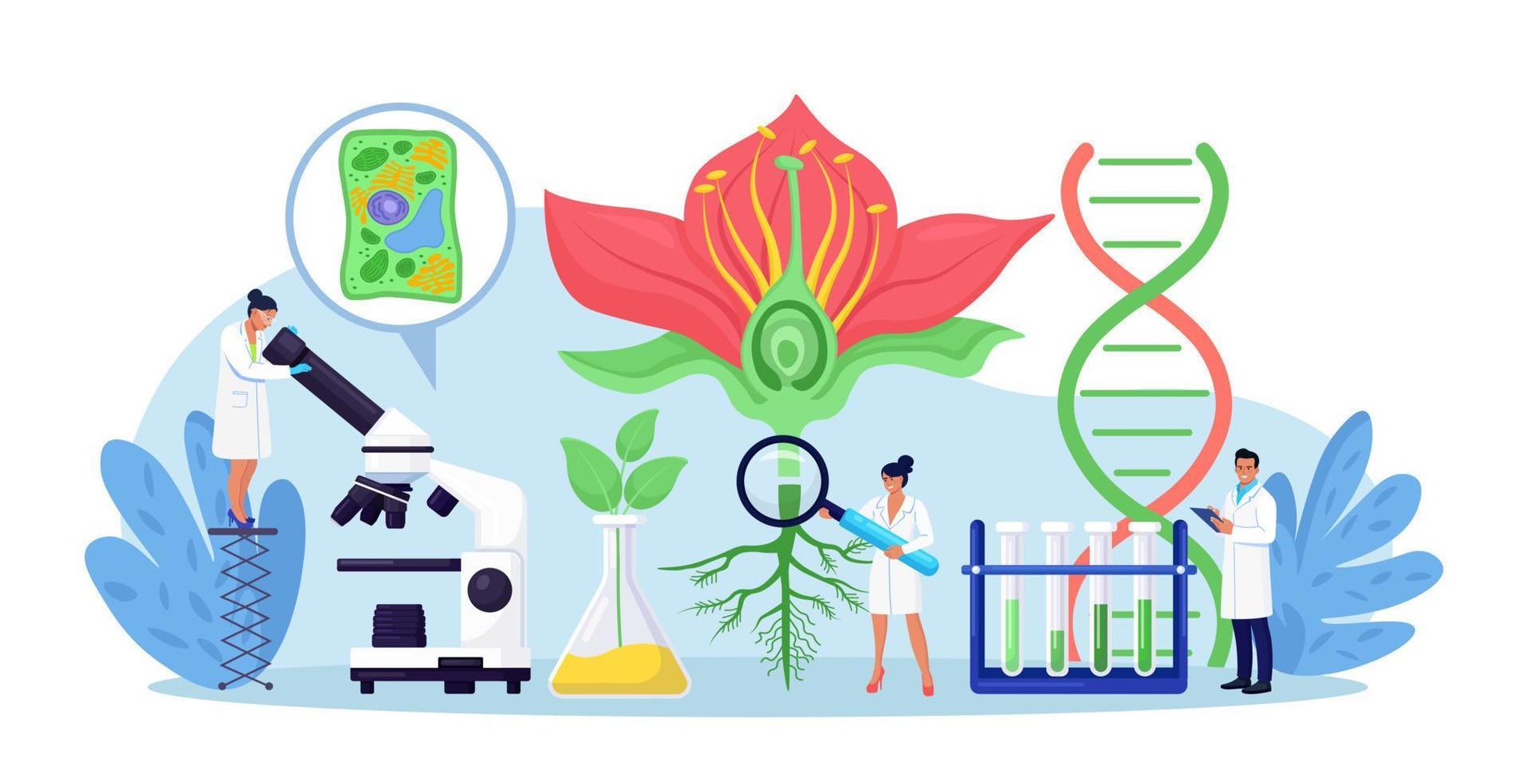 biologia, assunto de botânica. biólogo explorando a natureza. cientista faz análise de laboratório do sistema de vida das plantas. engenharia molecular, microbiologia. pesquisadores químicos que trabalham com equipamentos de laboratório vetor