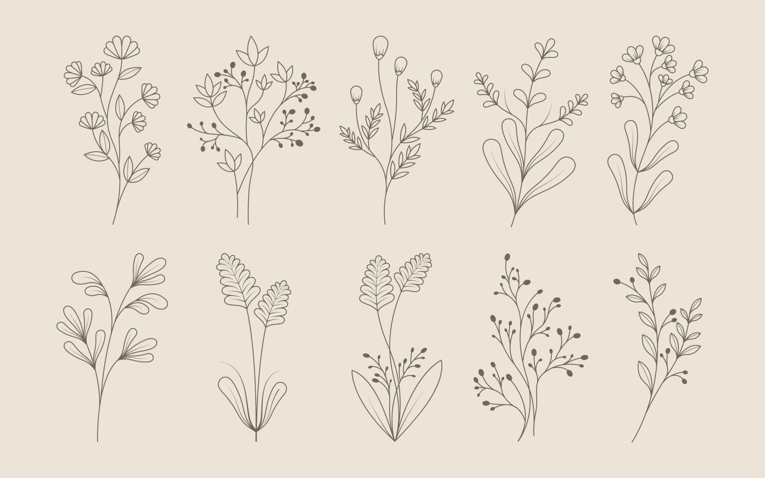 doodle de linha de folhas e flores vetor