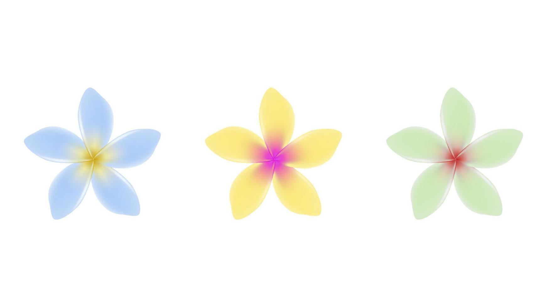 objetos de vetor de flor de jasmim em várias cores.