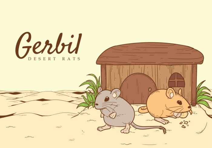 Gerbil Ilustração vetorial vetor