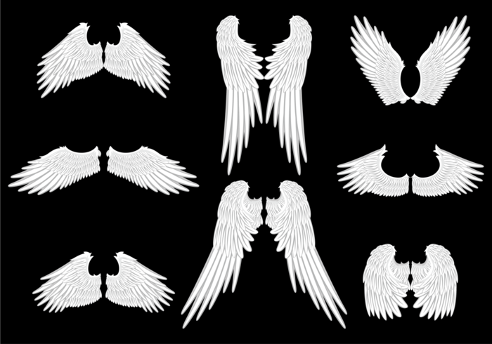Vetor de asas de anjo