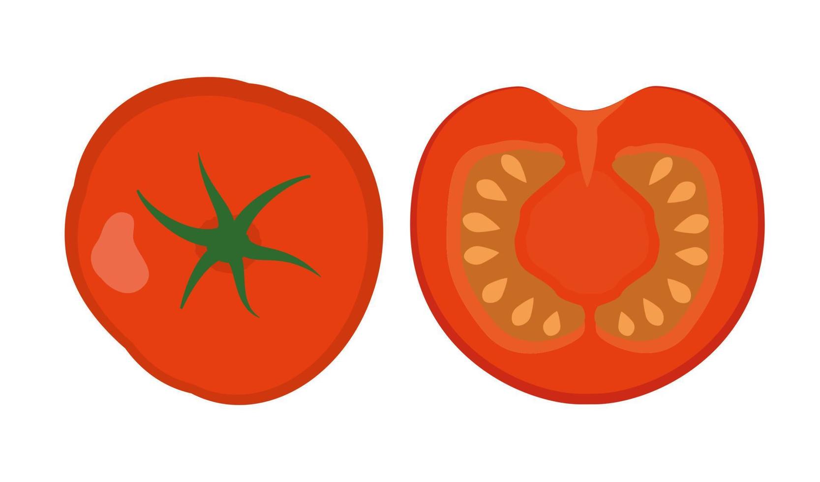 tomate fresco suculento vermelho, inteiro e fatiado, isolado no fundo branco. ilustração vetorial em estilo simples. vetor