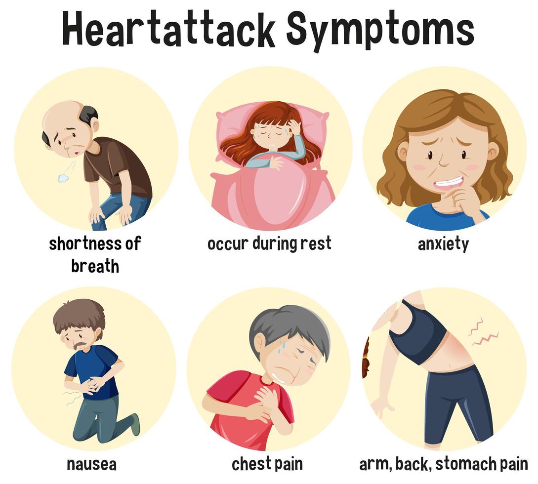 infográfico de informações de sintomas de ataque cardíaco vetor