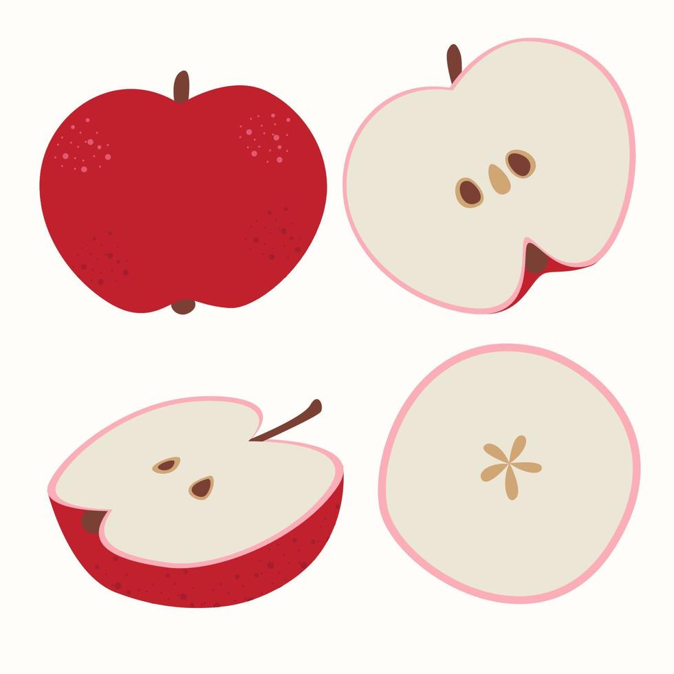 ilustração vetorial de estoque com conjunto de maçãs em um fundo branco, maçãs vermelhas, fatias. maçãs contemporâneas. frutas de verão coloridas e fofas para design de ícones, adesivos. eps 10 vetor