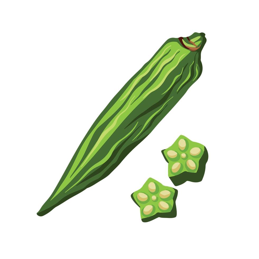 ícone de ilustração vetorial quiabo colorido pictograma isolado no fundo branco liso. desenho vegetal verde com estilo de arte plana de desenho animado. vetor