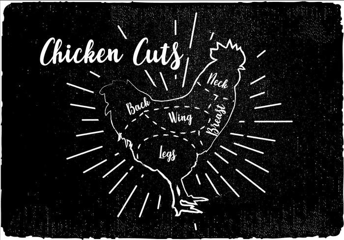 Vetor de diagrama de corte de frango