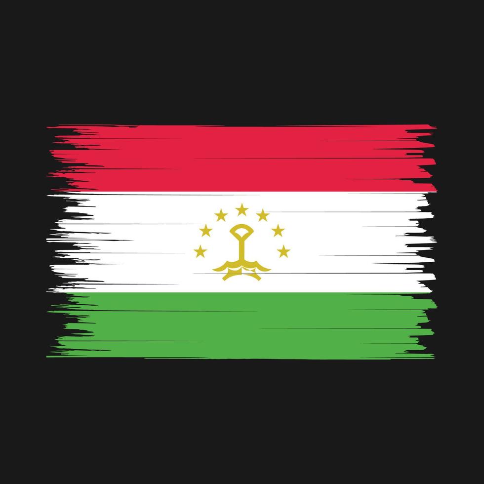 pincel de bandeira do tajiquistão vetor