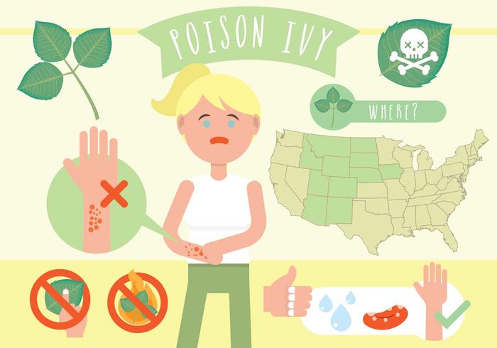 Vetor Infográfico Poison Ivy