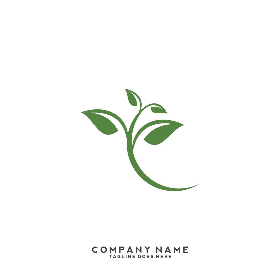 logotipo de folhas verdes. planta natureza eco jardim estilizado ícone vetor botânico.