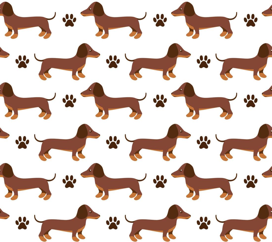 padrão vetorial perfeito em dachshund para impressão e web design em fundo branco eps 10 vetor