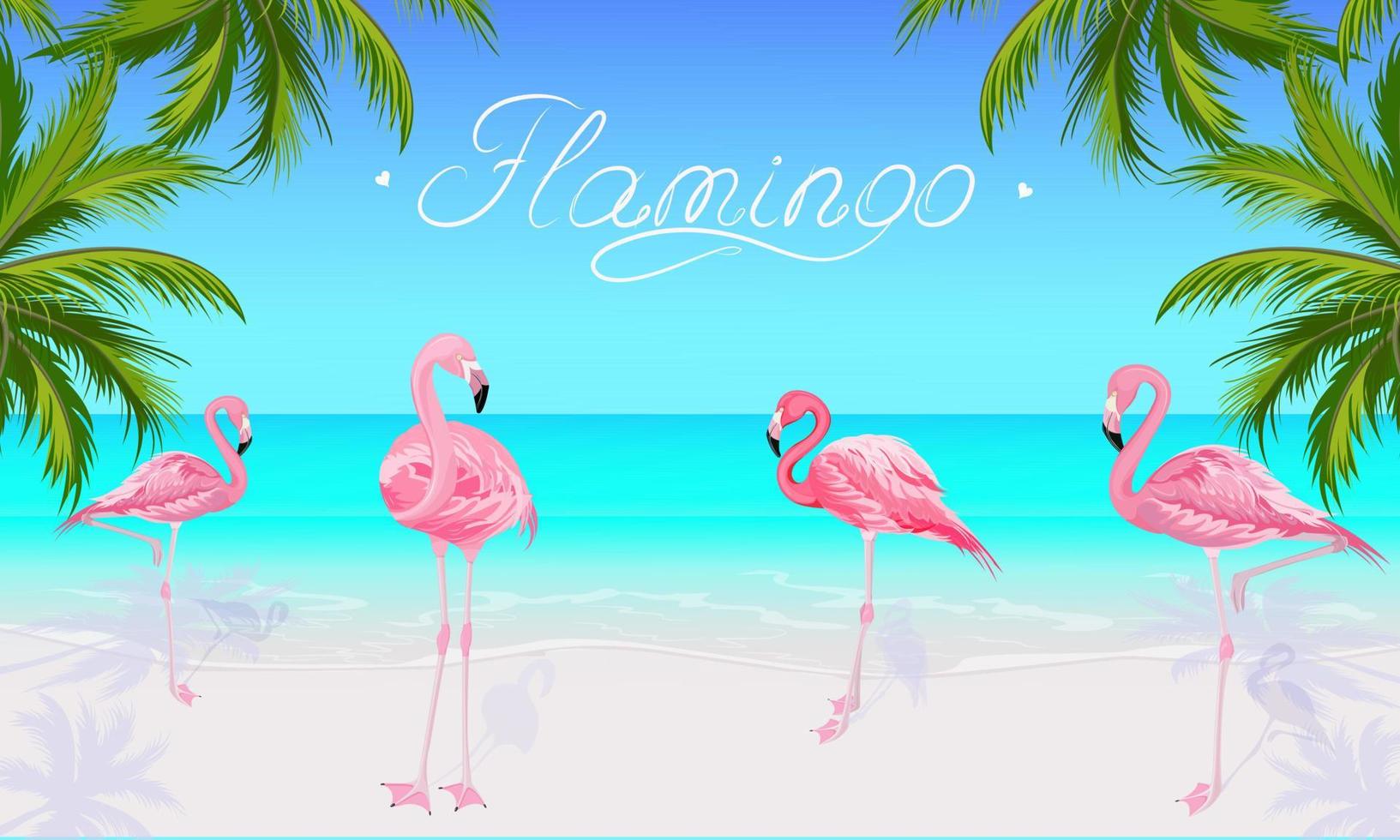 panorama de um dia ensolarado de verão com flamingos cor de rosa em pé na margem de uma praia tropical com areia branca. inscrição de flamingo em um céu azul claro. as folhas verdes do coqueiro vetor