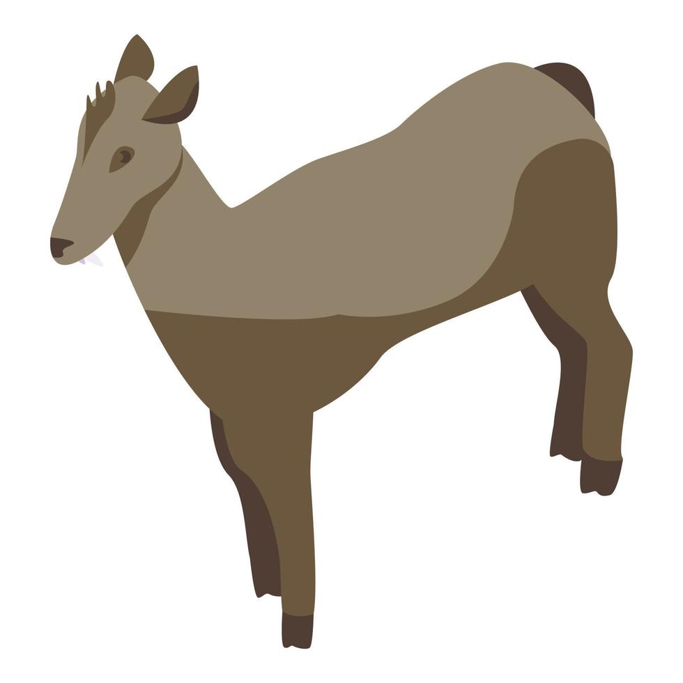 ícone de veado feminino animal, estilo isométrico vetor
