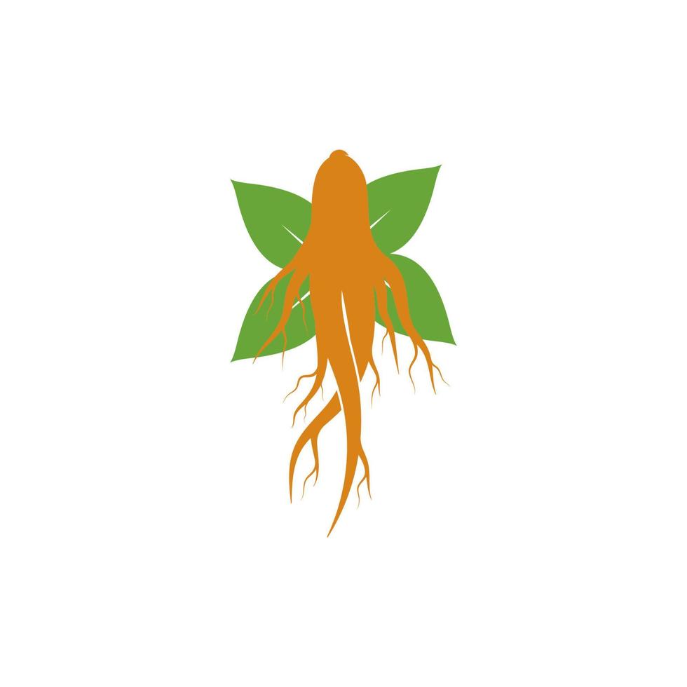 conjunto de logotipo de ginseng para ícone de ilustração de fitoterapia vetor