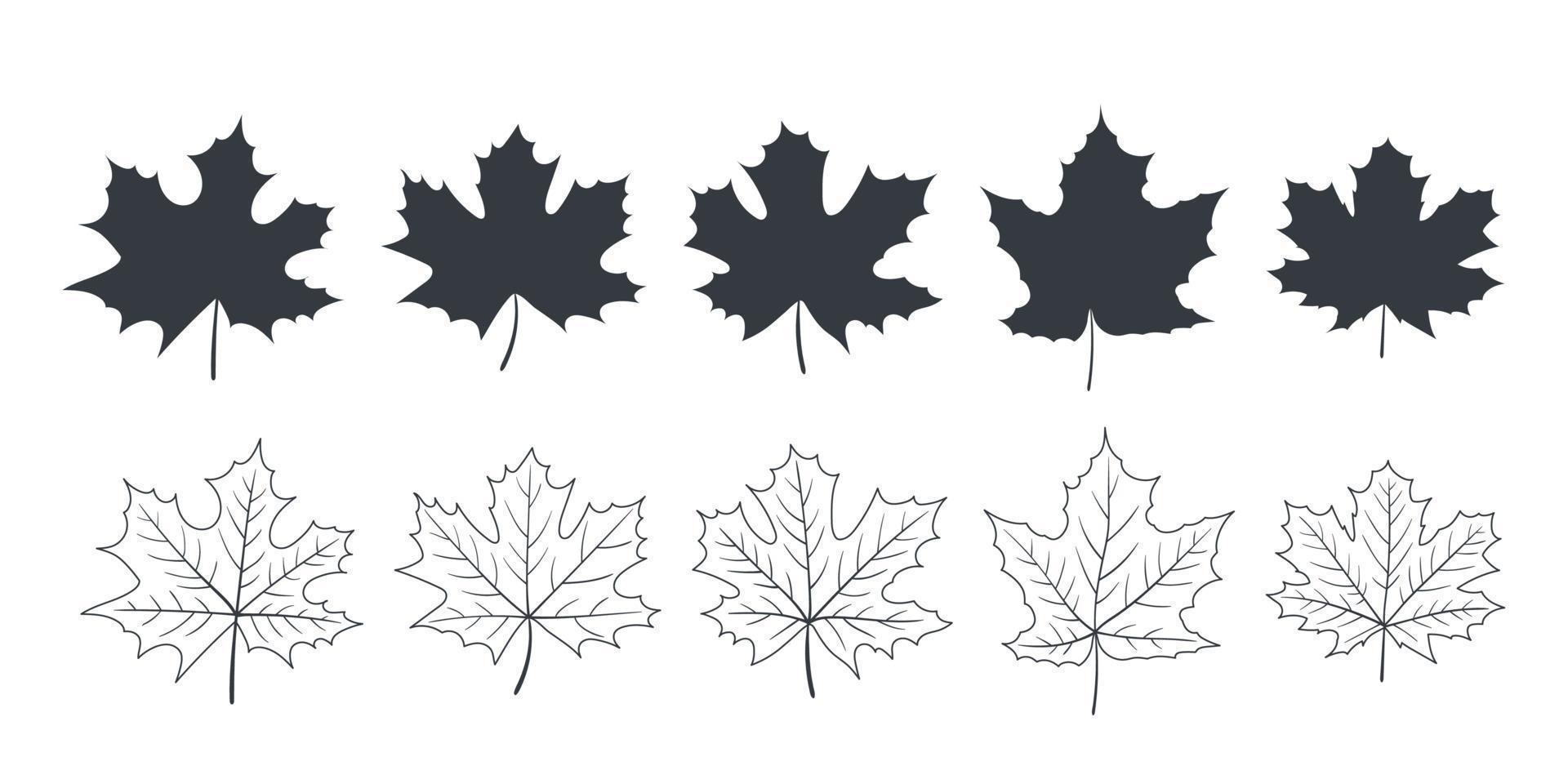 ícone de folhas. folhas de bordo. folhas de árvores de diferentes tipos no outono e verão. ilustração vetorial vetor