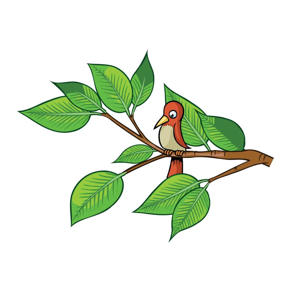 ilustração profissional de vetor de pássaros coloridos naturais