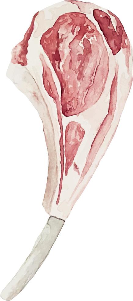 ilustração em aquarela de uma única peça de carne crua - cordeiro com osso vetor