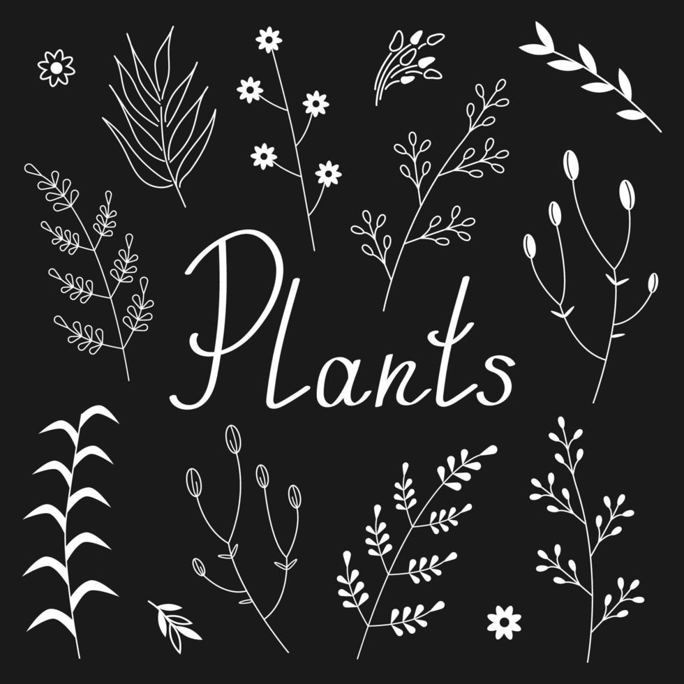 conjunto de ramos e galhos com folhas em fundo escuro. ilustração em vetor de plantas desenhadas à mão.