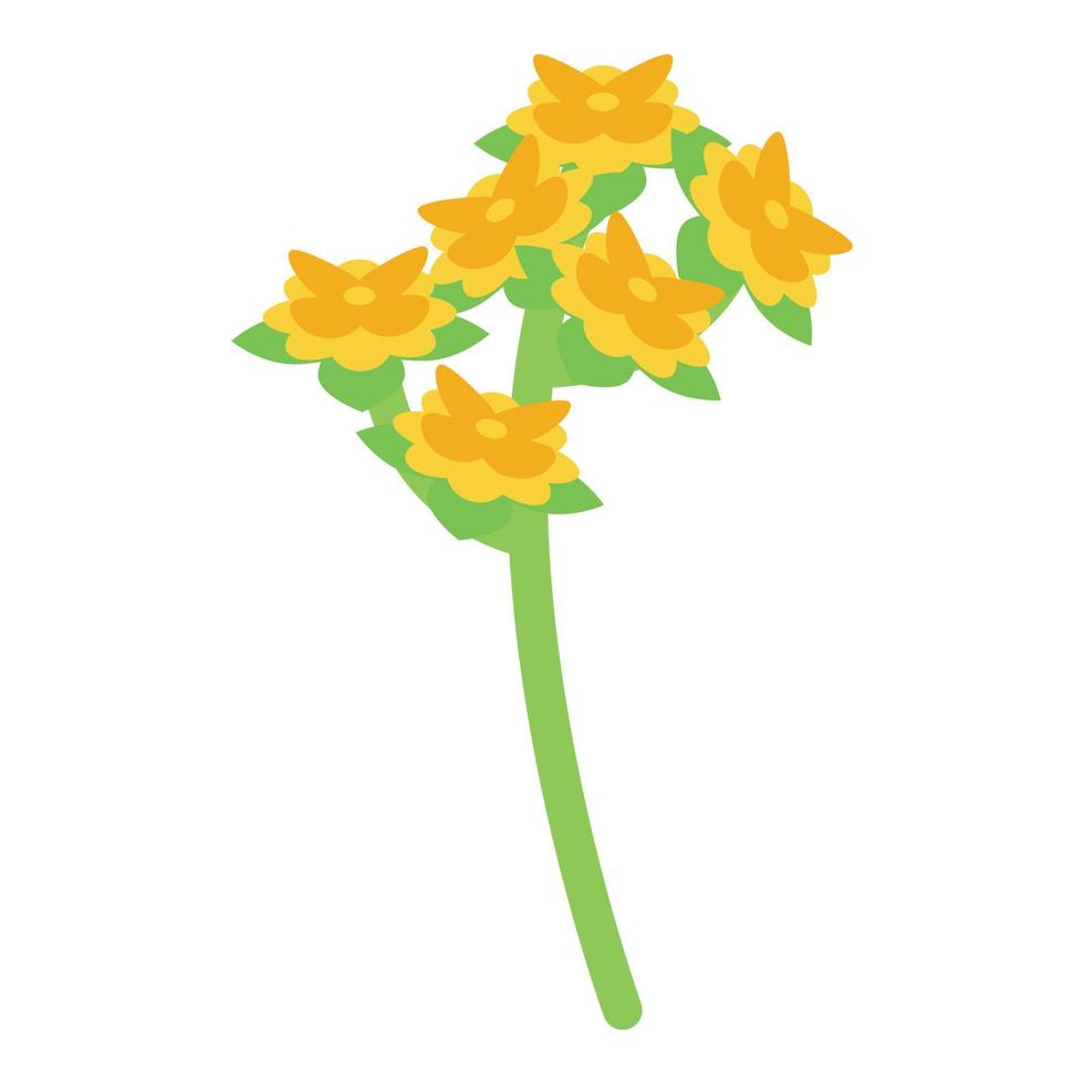 ícone da planta jojoba, estilo isométrico vetor