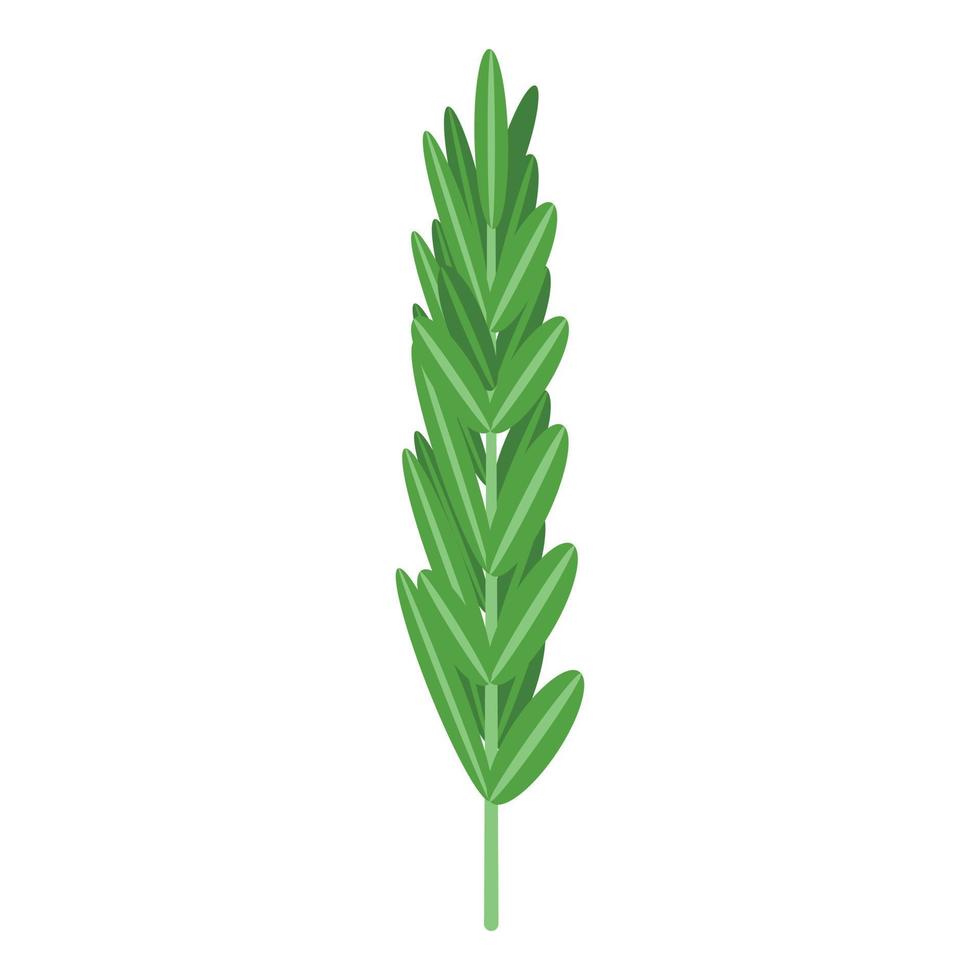 ícone de folha de alecrim, estilo isométrico vetor